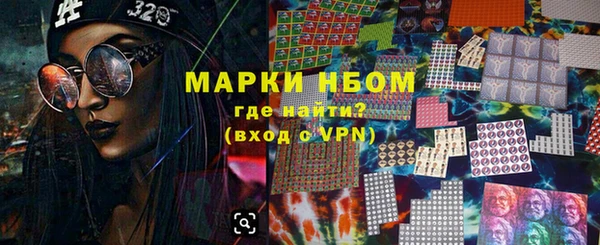 индика Абаза
