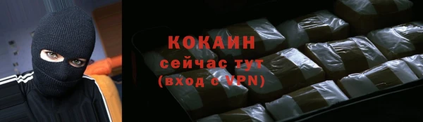 индика Абаза