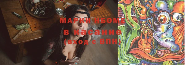 шишки Абинск