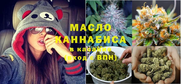 индика Абаза