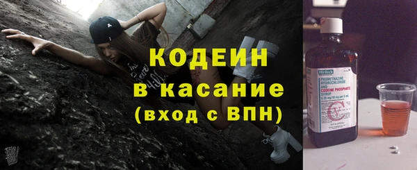 индика Абаза