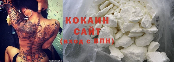 индика Абаза