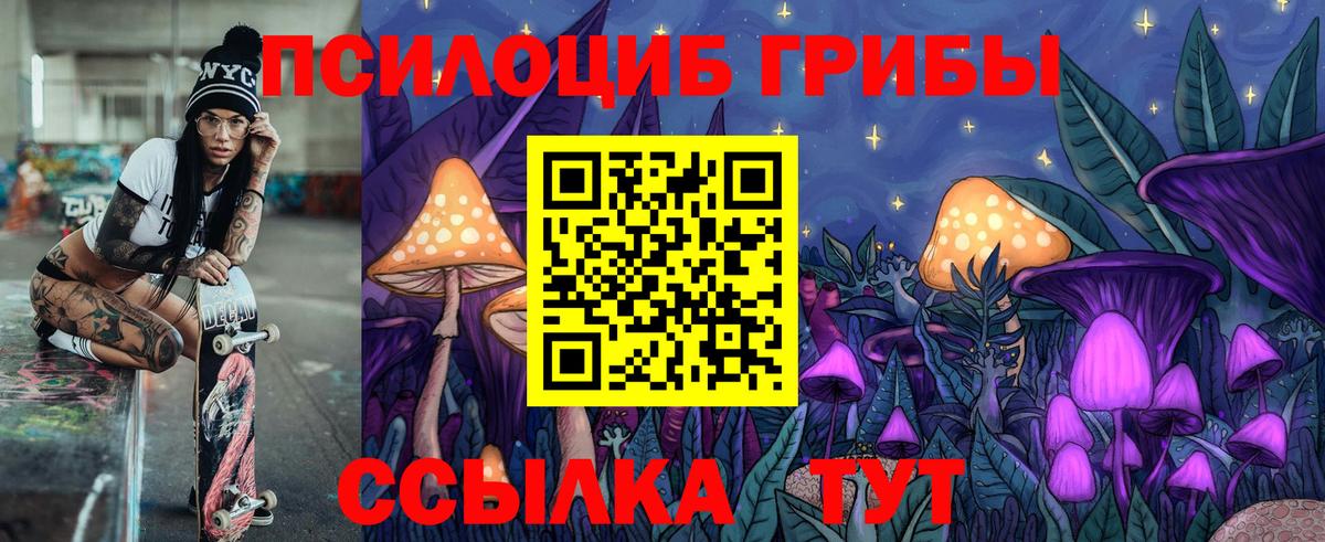Галлюциногенные грибы Psilocybe Янаул