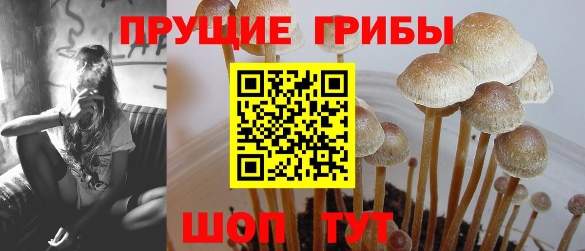 Галлюциногенные грибы мухоморы  Вход с VPN  купить наркотики цена  Янаул 
